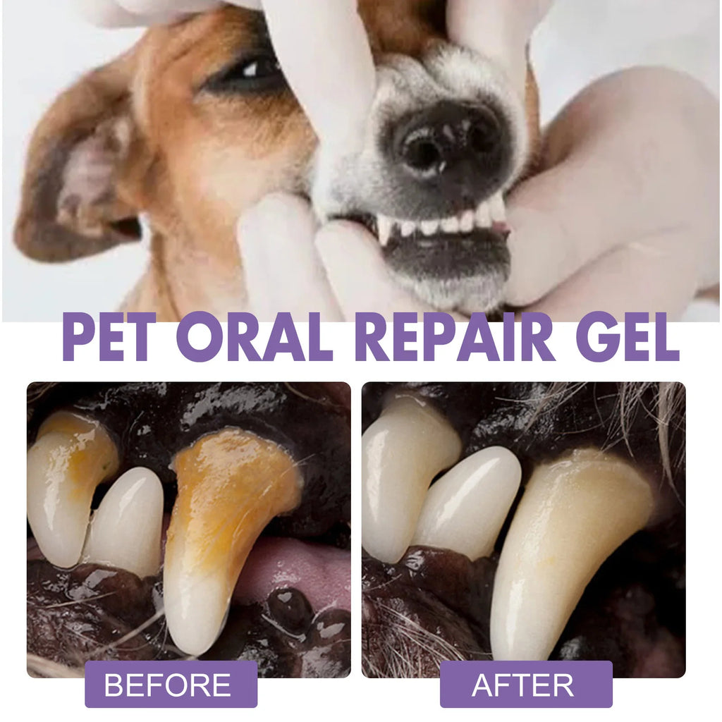 Gel de Reparo Oral-Removedor de Manchas e Bactérias Dentárias Para Pet [COMPRE 1 - LEVE 2]